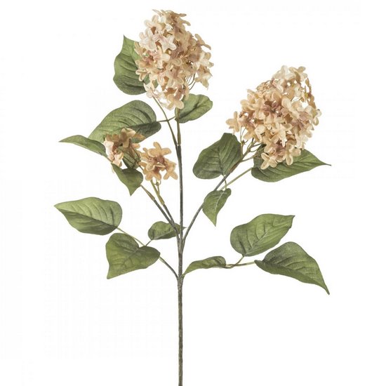 Gałązka dekoracyjna beżowy kwiat bzu 77 cm Eurofirany - 77 cm - beżowy