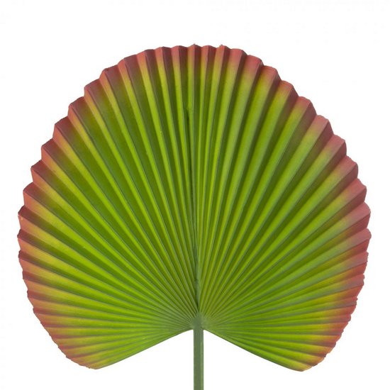 Liść dekoracyjny botaniczny zielony Eurofirany - 55 cm - zielony
