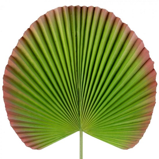 Liść dekoracyjny botaniczny zielono bordowy Eurofirany - 83 cm - zielony