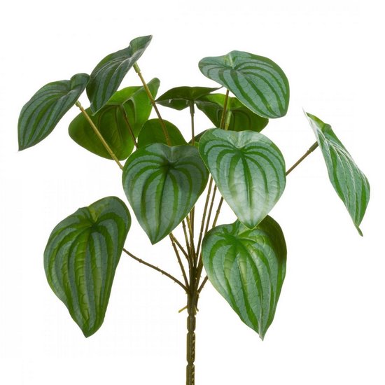 Sztuczne liście dekoracyjne PEPEROMIA SREBRZYSTA zielono-srebrne Eurofirany - 30 cm - zielony