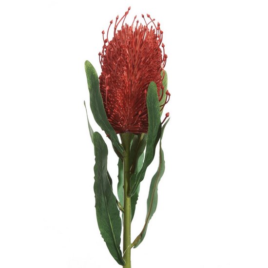 Sztuczny kwiat dekoracyjny egzotyczny BANKSJA ceglasty Eurofirany - 63 cm - ceglasty