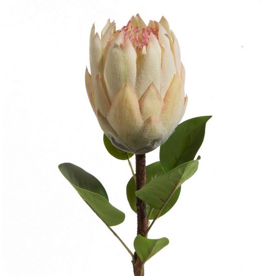 Kwiat sztuczny dekoracyjny PROTEA kremowy Eurofirany - 66 cm - kremowy