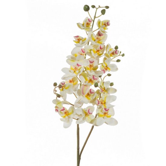 Sztuczny kwiat storczyk wielokwiatowy biały  Eurofirany - ∅ 5 x 77 cm - biały