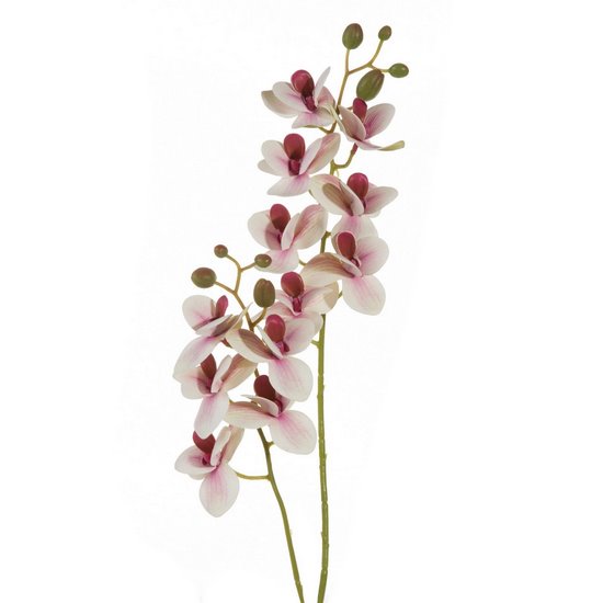 Sztuczny kwiat dekoracyjny STORCZYK jasnoróżowy Eurofirany - ∅ 6 x 57 cm - jasnoróżowy
