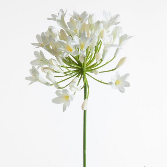 Kwiat sztuczny dekoracyjny AGAPANT kremowy Eurofirany - 76 cm - kremowy