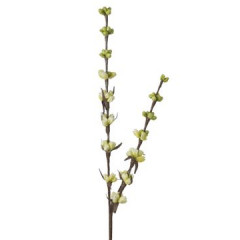 Flore 293 zielona gałązka dekoracyjna sztuczny kwiat do bukietów 100 cm Eurofirany - 100 cm - zielony 4