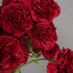 Sztuczny kwiat dekoracyjny czerwony goździk Eurofirany - ∅ 9 x 40 cm - czerwony 2