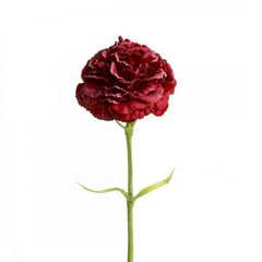 Sztuczny kwiat dekoracyjny czerwony goździk Eurofirany - ∅ 9 x 40 cm - czerwony 1