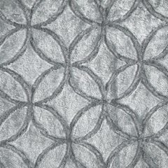 Narzuta o strukturze futra z wytłaczanym wzorem 220x240 - 220 X 240 cm - srebrny 5