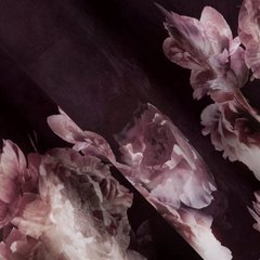 Merla welwetowa zasłona w kolorze wina w kwiaty 140x250 cm na przelotkach Eurofirany - 140 x 250 cm - bordowy 2