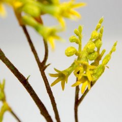 KROKOSIMIA kwiat sztuczny dekoracyjny Eurofirany - 75 cm - żółty 3