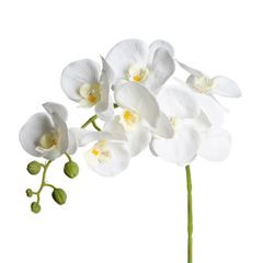 Sztuczny kwiat dekoracyjny STORCZYK amarantowy Eurofirany - ∅ 10 x 95 cm - amarantowy 2