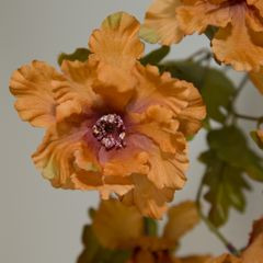 Sztuczny kwiat dekoracyjny pomarańczowy Eurofirany - ∅ 7 x 39 cm - pomarańczowy 4