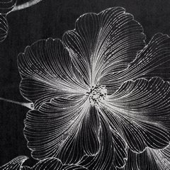 Zasłona STELLA z błyszczącego welwetu w srebrne kwiaty Eurofirany - 140 x 250 cm - czarny 3
