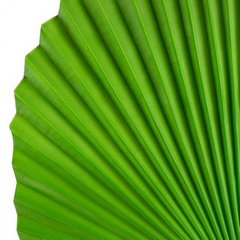 Liść dekoracyjny botaniczny zielony Eurofirany - 83 cm - zielony 2