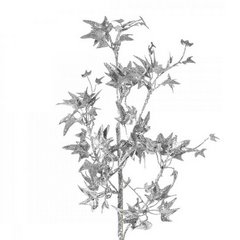 Srebrna gałązka dekoracyjna  z brokatem ostrokrzew na choinkę 78 cm Eurofirany - 78 cm - srebrny 2