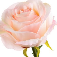Sztuczny kwiat dekoracyjny RÓŻA jasnoróżowa Eurofirany - ∅ 10 x 62 cm - jasnoróżowy 2