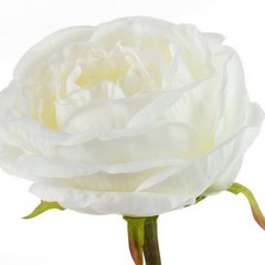 BIAŁA RÓŻA STULISTNA SZTUCZNY KWIAT 68 cm 1szt EUROFIRANY - dł. 68 cm śr. kwiat 12 cm - biały 2