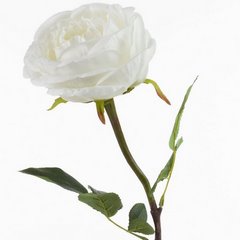 BIAŁA RÓŻA STULISTNA SZTUCZNY KWIAT 68 cm 1szt EUROFIRANY - dł. 68 cm śr. kwiat 12 cm - biały 1