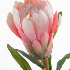 Sztuczny kwiat dekoracyjny różowy Eurofirany - ∅ 9 x 63 cm - różowy 2