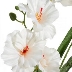 Sztuczny kwiat dekoracyjny FREZJA z jedwabistej tkaniny kremowy Eurofirany - ∅ 9 x 80 cm - kremowy 2
