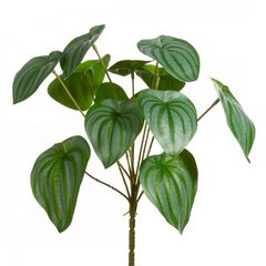 Sztuczne liście dekoracyjne PEPEROMIA SREBRZYSTA zielono-srebrne Eurofirany - 30 cm - zielony 1
