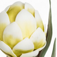 Sztuczny kwiat dekoracyjny Karczoch jasnozielony Eyrofirany - ∅ 12 x 60 cm - jasnozielony 2