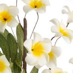 Kwiat sztuczny dekoracyjny z białymi drobnymi kwiatuszkami Eurofirany - ∅ 5 x 77 cm - biały 2