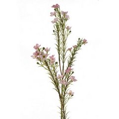 Kwiat sztuczny dekoracyjny WOSKÓWKA jasnoróżowy Eurofirany - ∅ 2 x 65 cm - jasnoróżowy 1