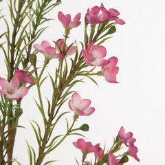 Kwiat sztuczny dekoracyjny WOSKÓWKA różowy Eurofirany - ∅ 2 x 65 cm - różowy 2