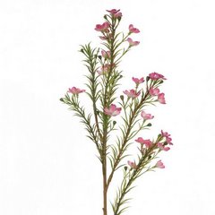 Kwiat sztuczny dekoracyjny WOSKÓWKA różowy Eurofirany - ∅ 2 x 65 cm - różowy 1