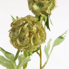 Kwiat sztuczny dekoracyjny zielony Eurofirany - ∅ 6 x 50 cm - zielony 2
