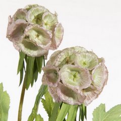 Kwiat sztuczny dekoracyjny zielono-fioletowy Eurofirany - ∅ 6 x 50 cm - zielony 2