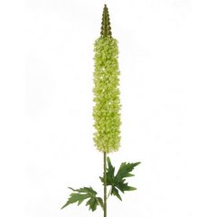 Kwiat sztuczny dekoracyjny PUSTYNNIK HIMALAJSKI zielony Eurofirany - 108 cm - zielony 1