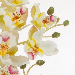 Sztuczny kwiat storczyk wielokwiatowy biały  Eurofirany - ∅ 5 x 77 cm - biały 2