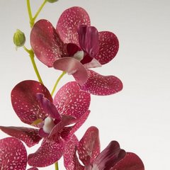 Sztuczny kwiat dekoracyjny STORCZYK ciemnoróżowy Eurofirany - ∅ 8 x 82 cm - ciemnoróżowy 2