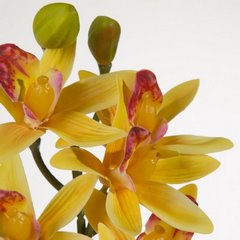 Sztuczny kwiat dekoracyjny STORCZYK żółty Eurofirany - ∅ 10 x 76 cm - żółty 2
