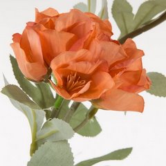 Sztuczny kwiat dekoracyjny pomarańczowy Eurofirany - ∅ 12 x 77 cm - pomarańczowy 2