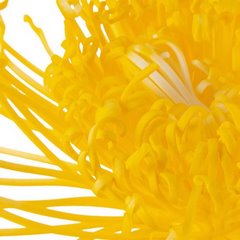 Sztuczny kwiat dekoracyjny żółty Eurofirany - 77 cm - żółty 2