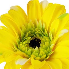 Kwiat sztuczny dekoracyjny GERBARA żółty Eurofirany - ∅ 12 x 55 cm - żółty 2