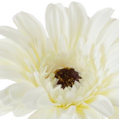 Kwiat sztuczny dekoracyjny GERBERA biały Eurofirany - ∅ 12 x 55 cm - biały 2