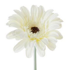 Kwiat sztuczny dekoracyjny GERBERA biały Eurofirany - ∅ 12 x 55 cm - biały 1