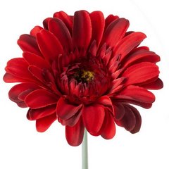 Kwiat sztuczny dekoracyjny GERBER czerwony Eurofirany - ∅ 12 x 55 cm - czerwony 1
