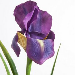 Kwiat sztuczny dekoracyjny IRYS fioletowy Eurofirany - 61 cm - fioletowy 2