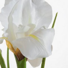 Kwiat sztuczny dekoracyjny IRYS kremowy Eurofirany - 61 cm - kremowy 2