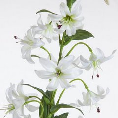 Kwiat sztuczny dekoracyjny LILIA MARTAGON biały Eurofirany - 83 cm - biały 2