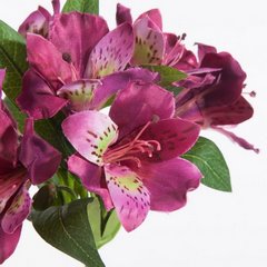 Kwiat sztuczny dekoracyjny RODODENDRON amarantowy Eurofirany - 48 cm - amarantowy 2