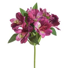 Kwiat sztuczny dekoracyjny RODODENDRON amarantowy Eurofirany - 48 cm - amarantowy 1