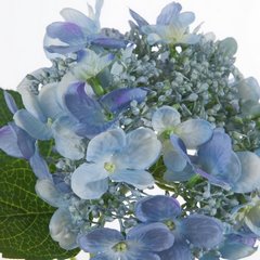 Kwiat sztuczny dekoracyjny HORTENSJA niebieska Eurofirany - 53 cm - niebieski 2