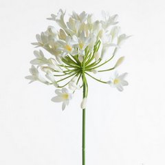Kwiat sztuczny dekoracyjny AGAPANT kremowy Eurofirany - 76 cm - kremowy 1